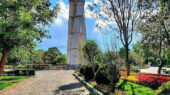 درخ باغ گلستان
