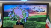 بابایی کتابخانه