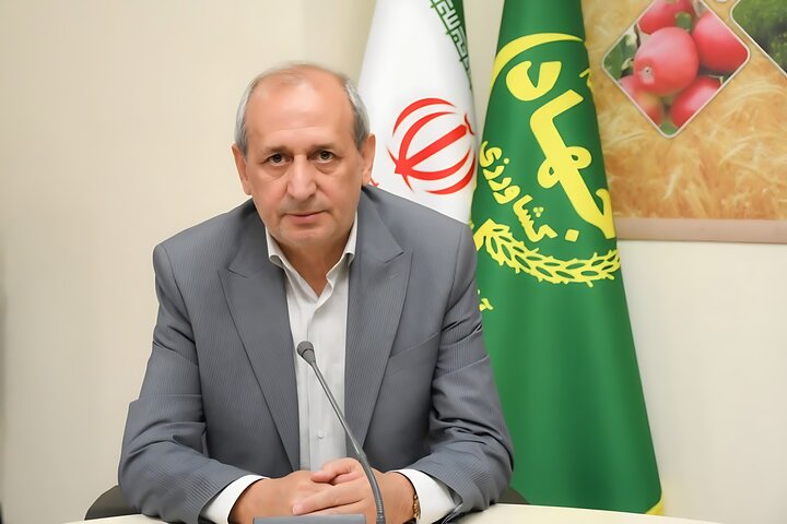 جهاد