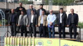 ورزش