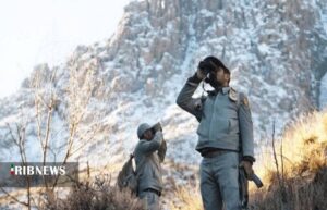 photo ۲۰۲۵ ۱۲ ۰۲ ۱۳ ۲۱ ۵۸ 1