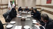 معاون سیاسی