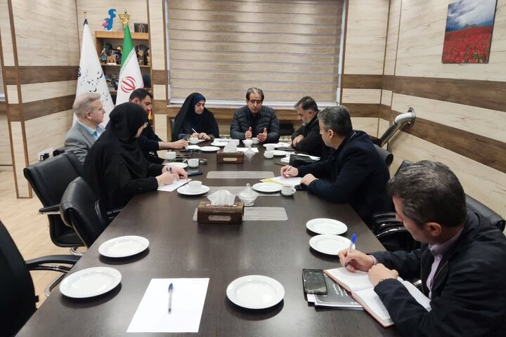 معاون سیاسی