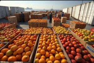 قرنطینه حدود ۴۵۰ هزار تن محصول کشاورزی در آذربایجان‌شرقی