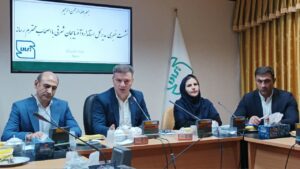 استاندارد