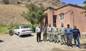دیزمار