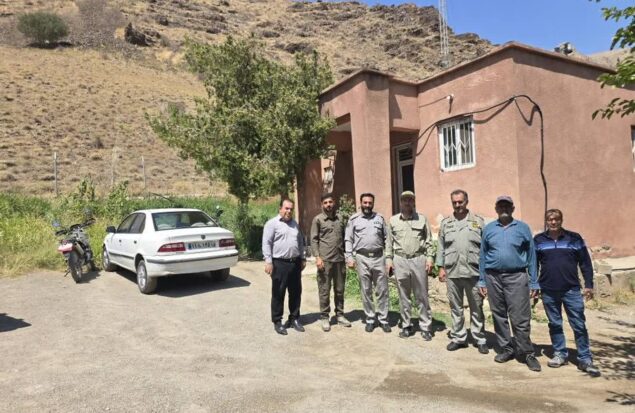 دیزمار